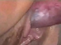 Free bestiality and zoophilia porn