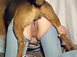 Free zoo porn tube