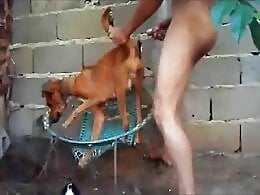 Zoo Zoo Sex Porn