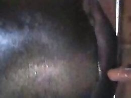 Zoo Zoo Sex Porn