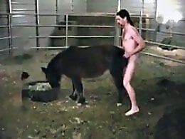 Zoophilia porn and animal sex