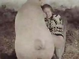 Animal porn videos and ZOO PORN